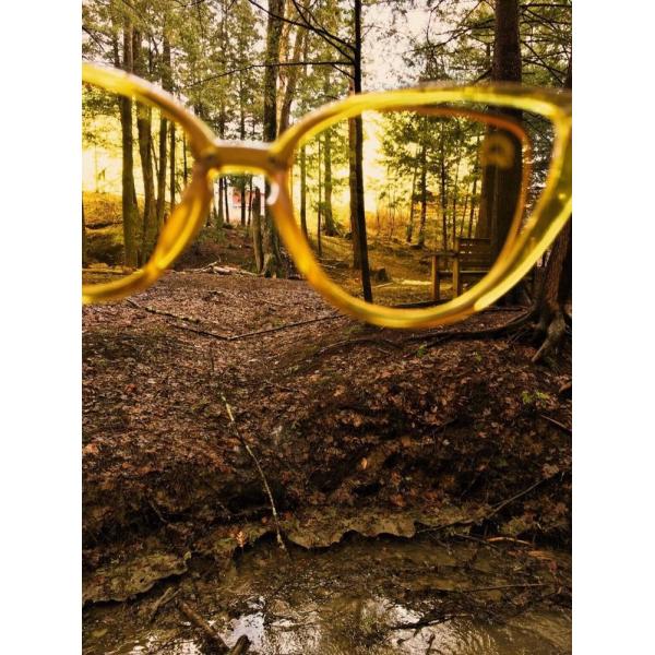 Buy Cat Eyes Scratch Resistant Yellow Colour Therapy Sunglasses at wholesale prices