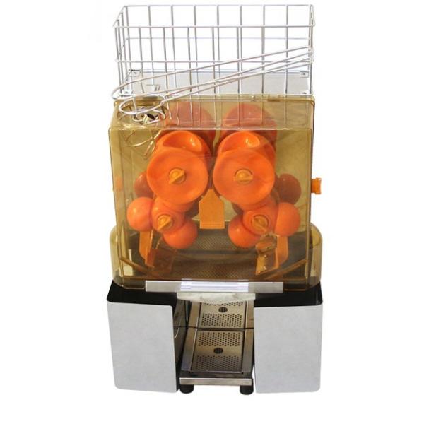 220V Commercial Orange Juicer Machine Stainless Steel Commercial Fruit Squeeze