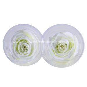 Ecuador Preserved Rose Head Long Life Roses For Party Event Decoration