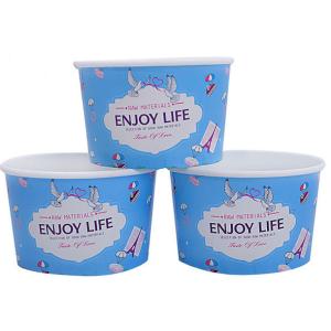 Takeaway Ice Cream Cups with Our Brand Gelato Cups