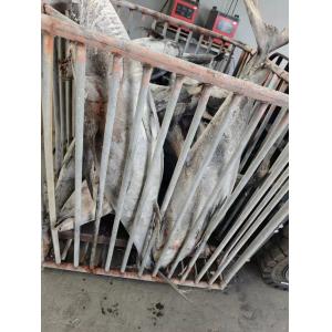 HACCP Approved 10 - 20KG Frozen Yellowfin Tuna WR