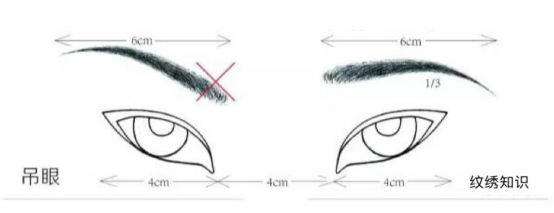 Artificial Fibers Cosmetic Beauty Tools / Black Eye Makeup Brushes For Eyelashes / Eyebrows