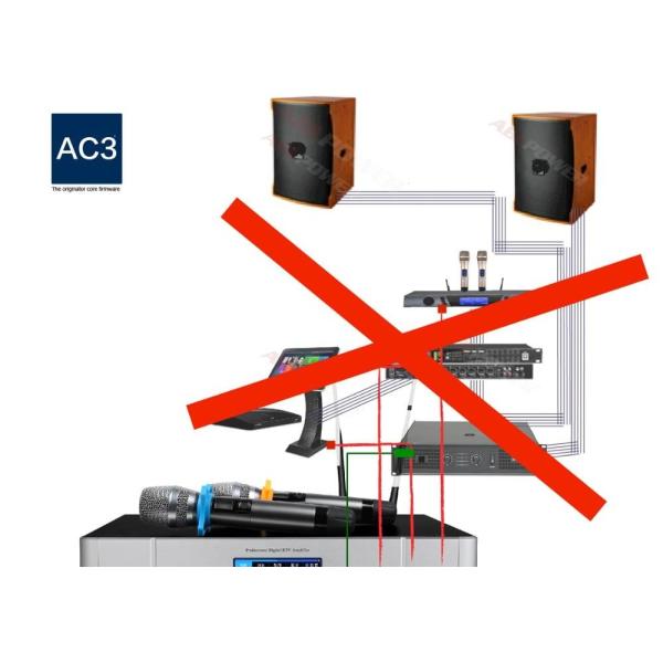 Easy One Piece 250W Digital Karaoke Power Amplifier