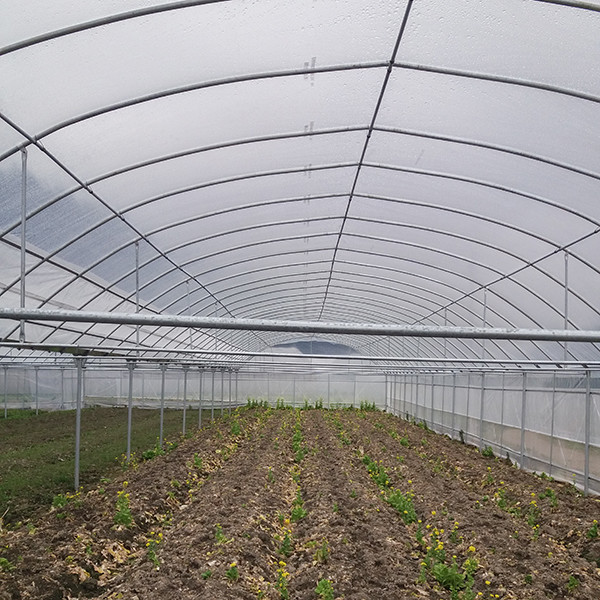 Polyethylene Multi Span Greenhouse Lightweight UV Protected 80/120/150/200 micron