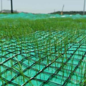 Coconut Turf Reinforcement Mat (TRM) Erosion Control Blanket ( ECB) For slope