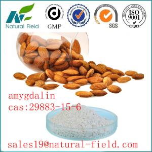 Quality GMP amygdalin b17 extract with top quality for sale