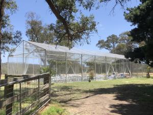 Quality 300 Seater Clear Wedding Marquee 10x30 Commercial Event Tent Australia Style for sale