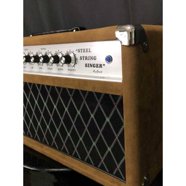 Custom Grand Tube Guitar Amp Head 100W Dumble Clone SSS Steel String Singer Valve Amplifier Series