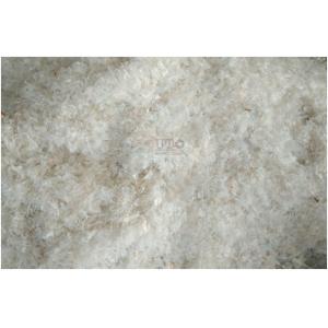 Waste Plastic Film Crushing, Washing, Pelletizing & Recycling Processing System