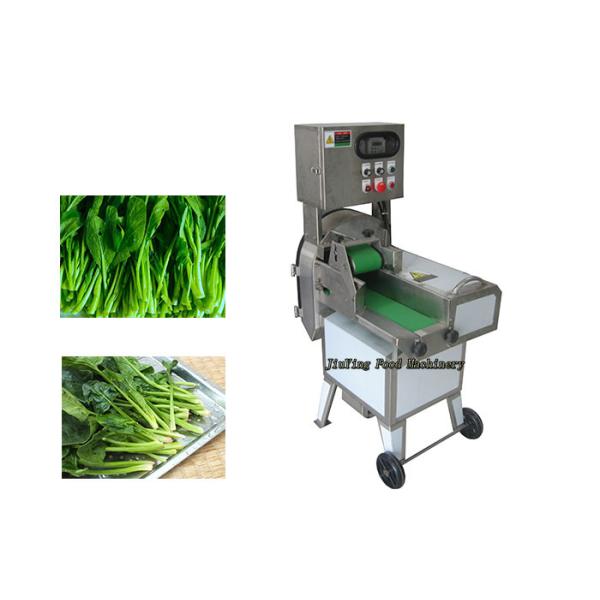 800KG/H Vegetable Processing Equipment Stainless Steel Coconut Slicer Cutting