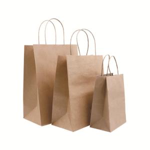 Custom Offset Printing Kraft Paper Gift Bag With Twisted Handle