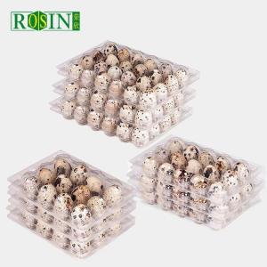 Customized 20 Holes Plastic Egg Packaging Disposable Quail Egg Containers