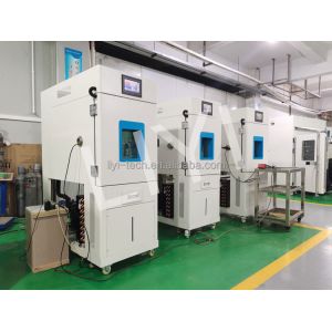 Liyi Customized Environmental Chambers Temperature and Humidity Control Cabinet