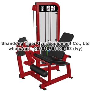 China Single Station Gym fitness equipment machine Leg Extension exercise machine on sale