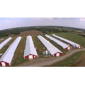 Prefabricated Steel Frame Poultry House with Fully Automated Chicken Farming