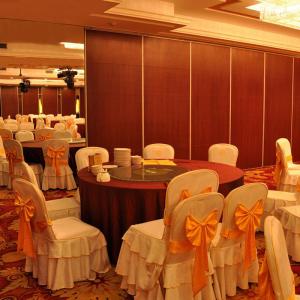 Commercial Restaurant Furniture Custom Design Folding Room Dividers Movable