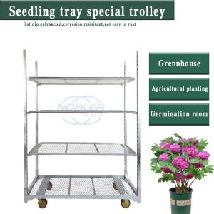 Quality danish Trolley Shelf Euro Racks Danish Trolley Flower Hand Trolley for sale