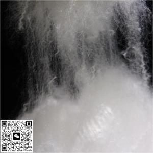 AA Grade Polyester Staple Fiber Crimp High / Medium / Low For Textile Industry