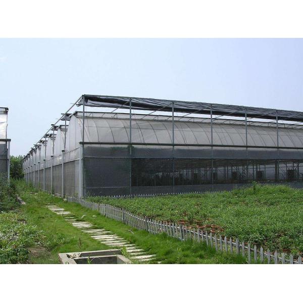 Buy Agricultural Vegetable Tunnel Multi-Span Plastic / Poly Greenhouse at wholesale prices