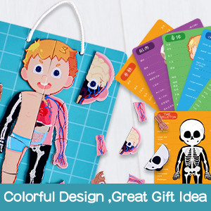 ASTM963-17 48pcs Magnetic Human Body Puzzle For Preschoolers