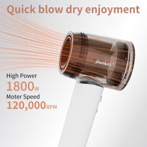 Travel 1800W High Speed Brushless Motor Hair Dryer With 110,000 Rpm And 5