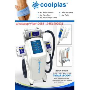 Quality Coolplas cryolipolysis slimming stubborn fat removal for sale