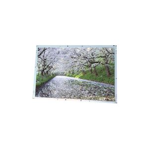 Quality LJ512U32 8.4 inch lcd Screen display 512*256 lcd module for sale