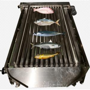 Four Models Automatic Fish Sorting Machine And Sizing Small Croaker High Stable