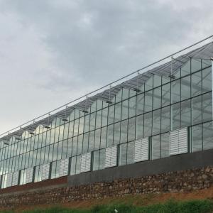 Budget-Friendly Agricultural Plastic Film Greenhouse for Vegetable Fruits