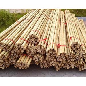 Garden Furniture Natural Bamboo Poles Stakes Straight For Garden Plant Length