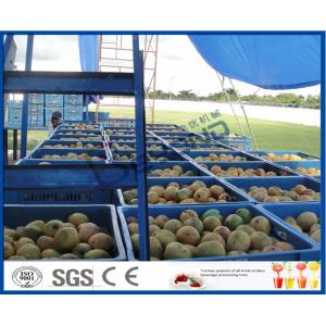 Fresh Pineapple / Mango Juice Processing Plant With Can Packaging Machine