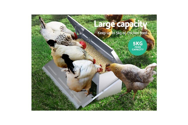 Automatic Lid 5kg 8.2L Feed Timer Chicken Feeder