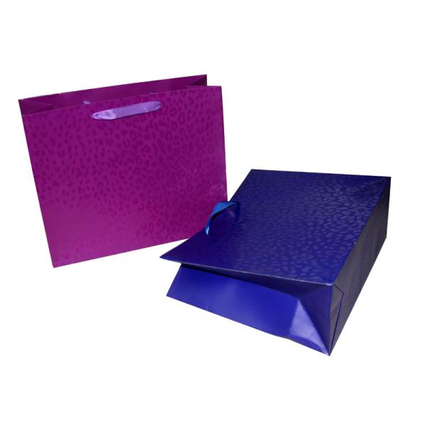 Shining UV Spots Paper Carrier Bag for Gift Packing Matt Coat Ribbon Handle