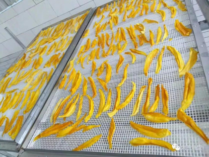 Buy High Tech Industrial Mango Slices Dryer Vibration Type Dewatering Machine at wholesale prices