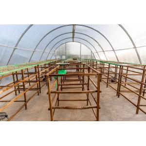 Quality Durable PC Board Drying Greenhouse with Advanced Ventilation for High-Yield Herb Drying for sale
