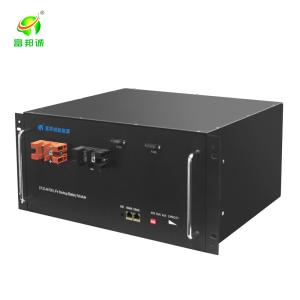 Home Deep Cycle Inverter Battery , Rechargeable Lithium Ion Batteries 48v