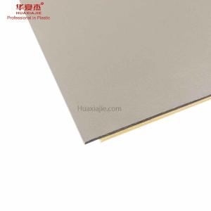 Household Wpc Wall Panel 2800*600*9mm Indoor For Interior Decoration