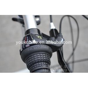 20 Speed Aluminum Folding Mountain Bike