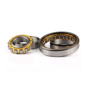 Double Row Cylindrical Roller Bearing NN3005K Seals Type Open ZZ /2RS/ RS In Big
