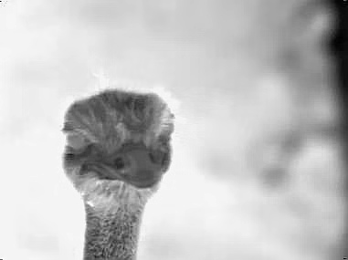 Handheld Thermal Clip On Thermal Night Vision Scope For Shooting And Hunting