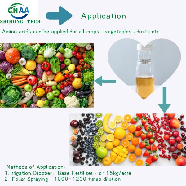 Enzyme Fish Protein Powder With Free Amino Acid High Active Peptide Multi Elements