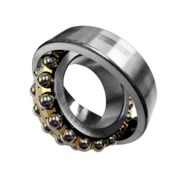 Buy Nachi FAG Ball Bearing1320k Self Alignment Bearing 217 Mm OD at wholesale prices
