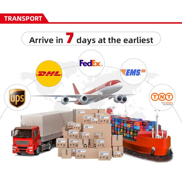 MorisMos Original 15 Inch Big-Headed Dinosaur Stuffed Animal Toy Soft Cube Dino Squishy Pillow for Boys and Girls for Birthday