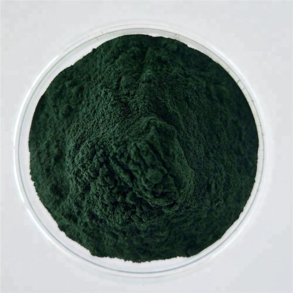 Buy Natural Chlorella Vulgaris Powder For Lose Weight at wholesale prices