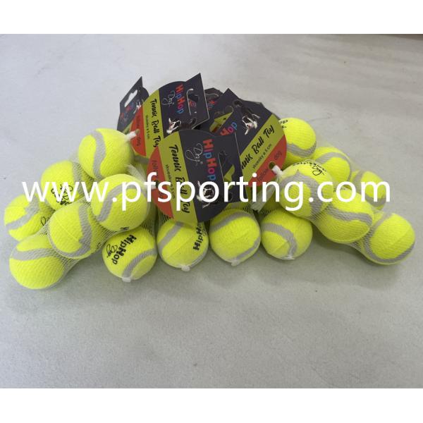 Hot Sales Interactive Automatic Pet Tennis Ball Launcher Dog Toy Tennis Balls Throw Launcher