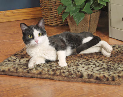 Buy S / M / L Size Memory Foam Dog Crate Pad Super Soft Cloth Material Easy To Wash  at wholesale prices