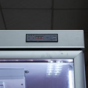 Green Health Upright Display Freezer Commercial Beverage Showcase Cooler 2250L