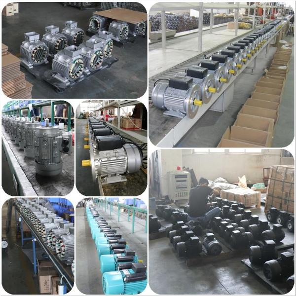 Cleaning Machine Hollow Shaft Induction Motor Zozhi HS112m2-4 7.5hp 5.5kw 3 Phase