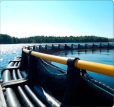 Quality HDPE Aquaculture AS/NZS4130 Fish Farm Equipment for sale