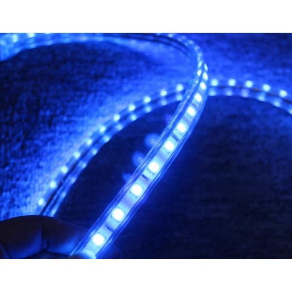 5050 AC strip lights 220V 60LED/M blue lighting